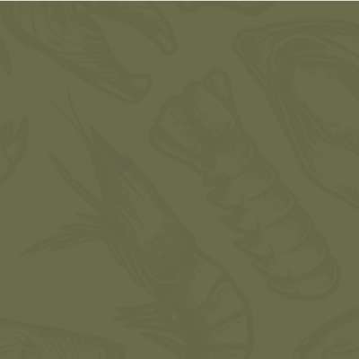 Chicken & Mac Burrito